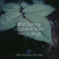 #50 Spring Loopable Rain Recordings