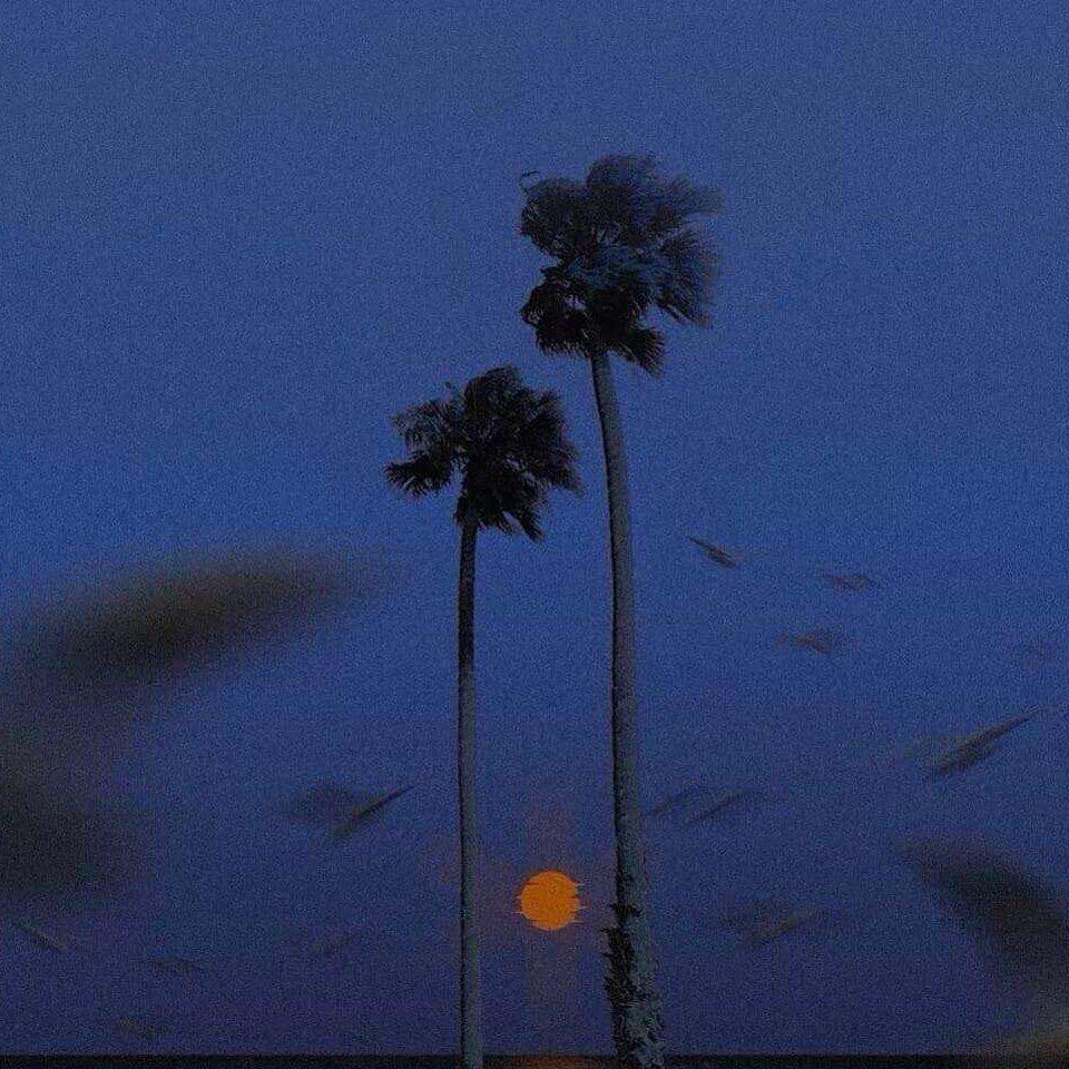 纯音|缓解压力.安眠.去享受孤独