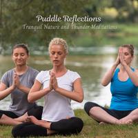 Puddle Reflections: Tranquil Nature and Thunder Meditations