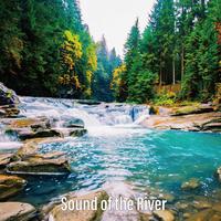 Sound of the River