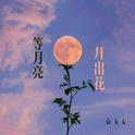 等月亮开出花专辑