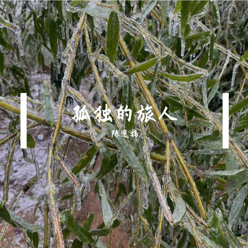 琴键上的诗篇封面