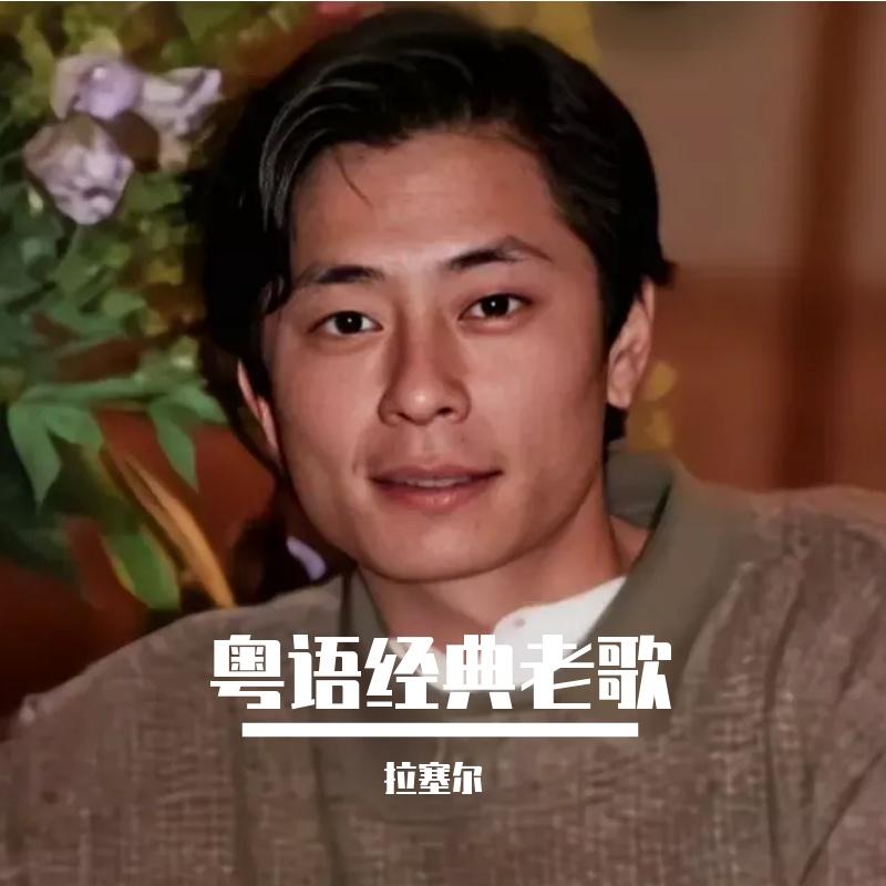 说谎的爱人封面