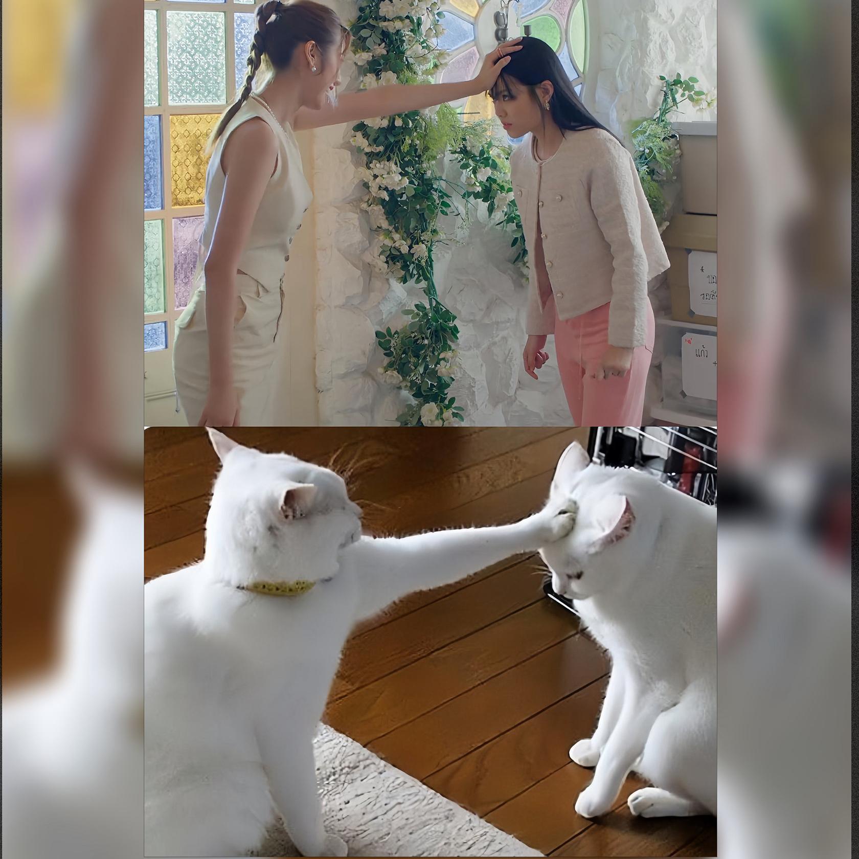 泰剧《Queendom女神之境》BGM Pam Arhoung