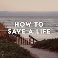 How to Save a Life