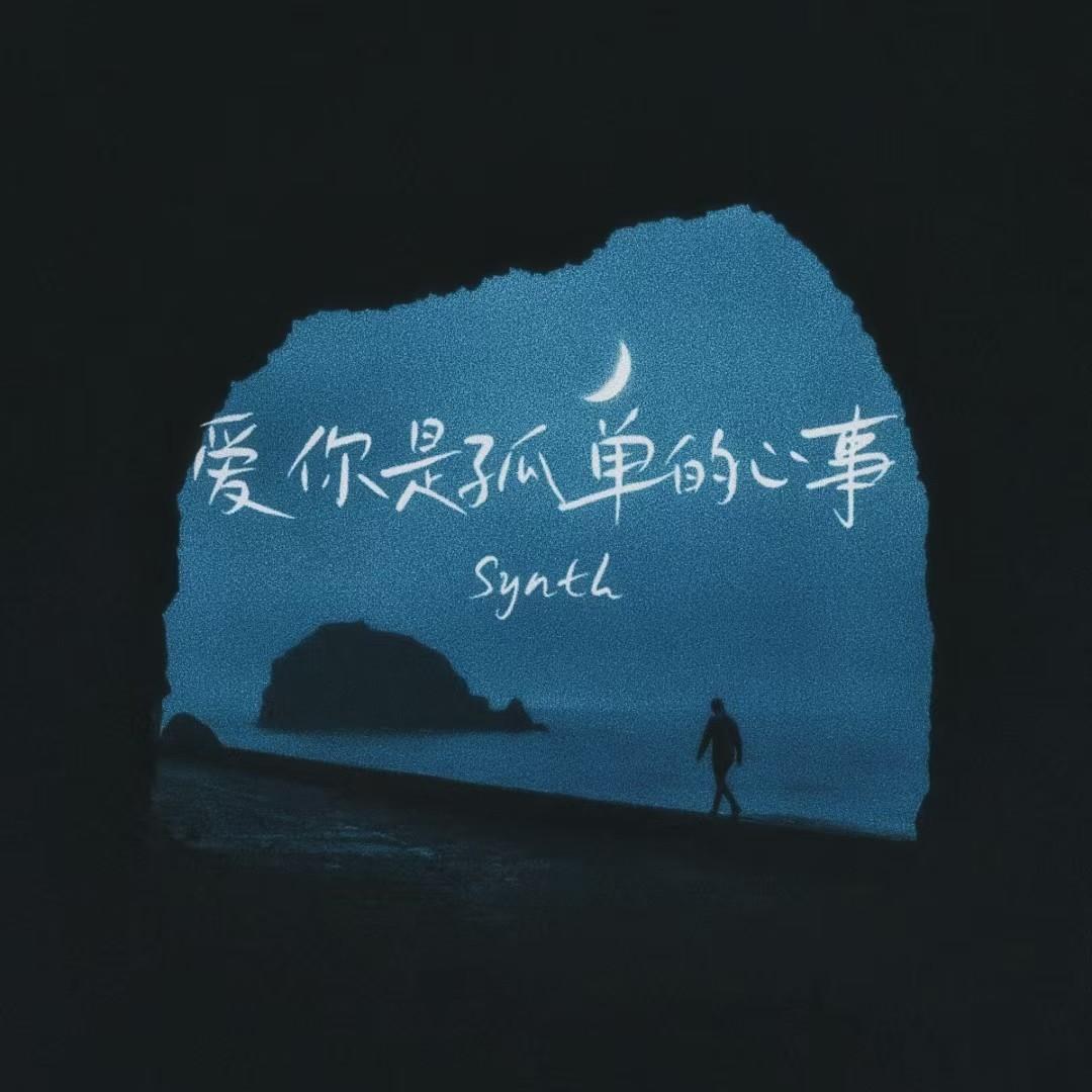 爱你是孤单的心事(DJ版) - Synth封面