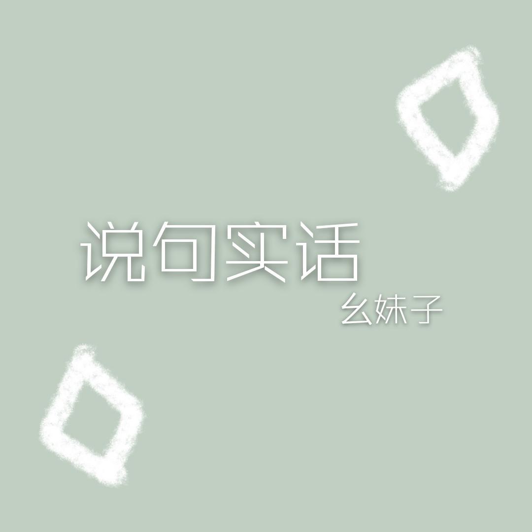 说句实话封面