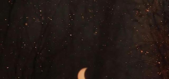 王巨星头像