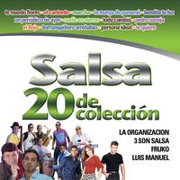 Salsa - 20 de Coleccion