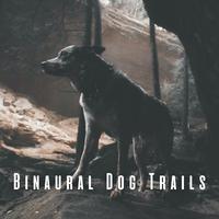 Binaural Dog Trails: Soothing Rain Tunes with Theta Waves