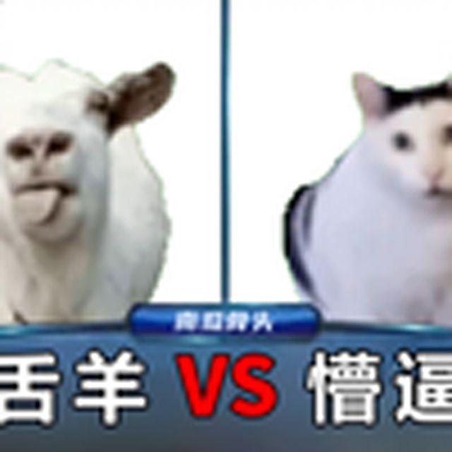 当两个睿智进行答题时(吐舌羊Xbruh猫)