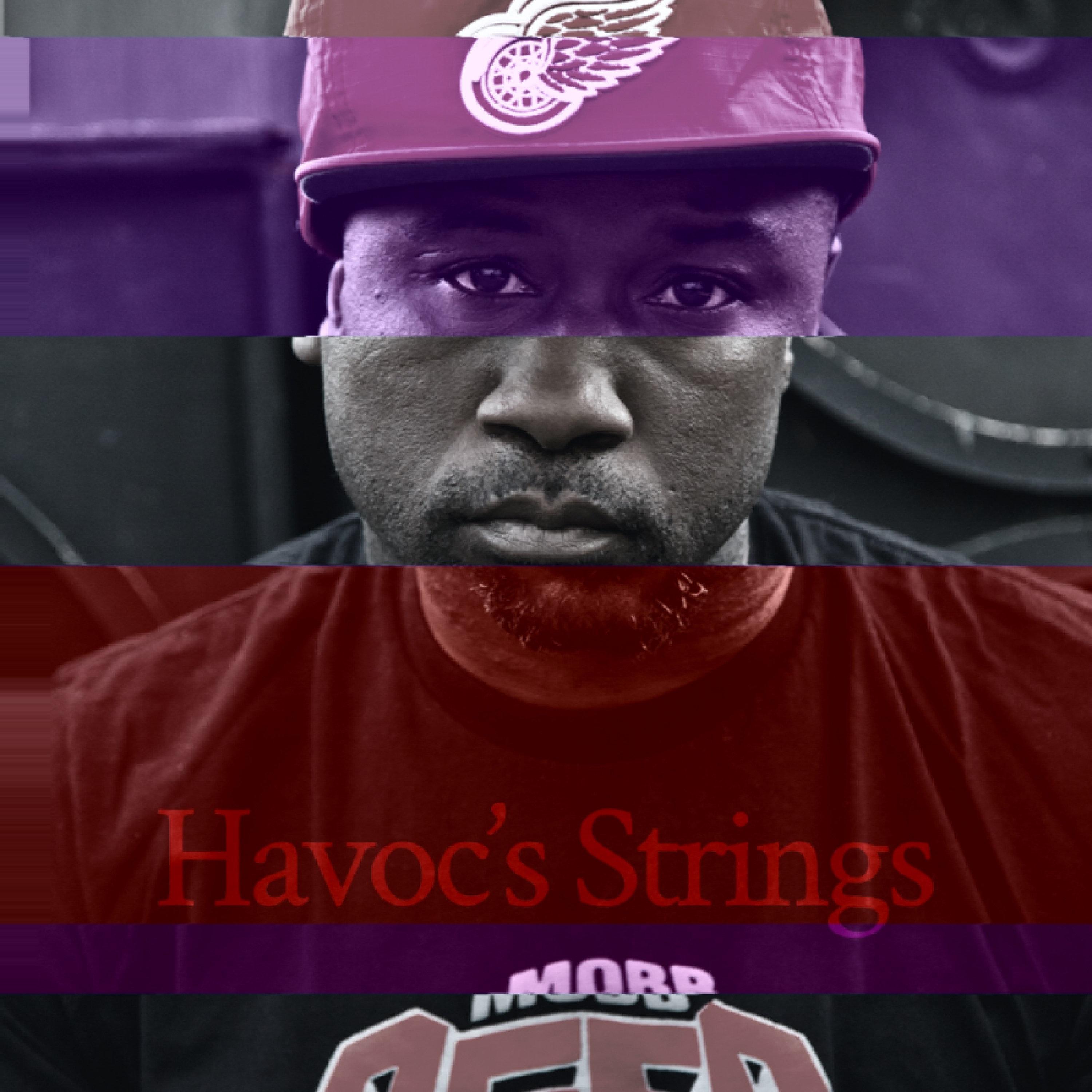 Havoc's Strings (Bastard Bear Remix)