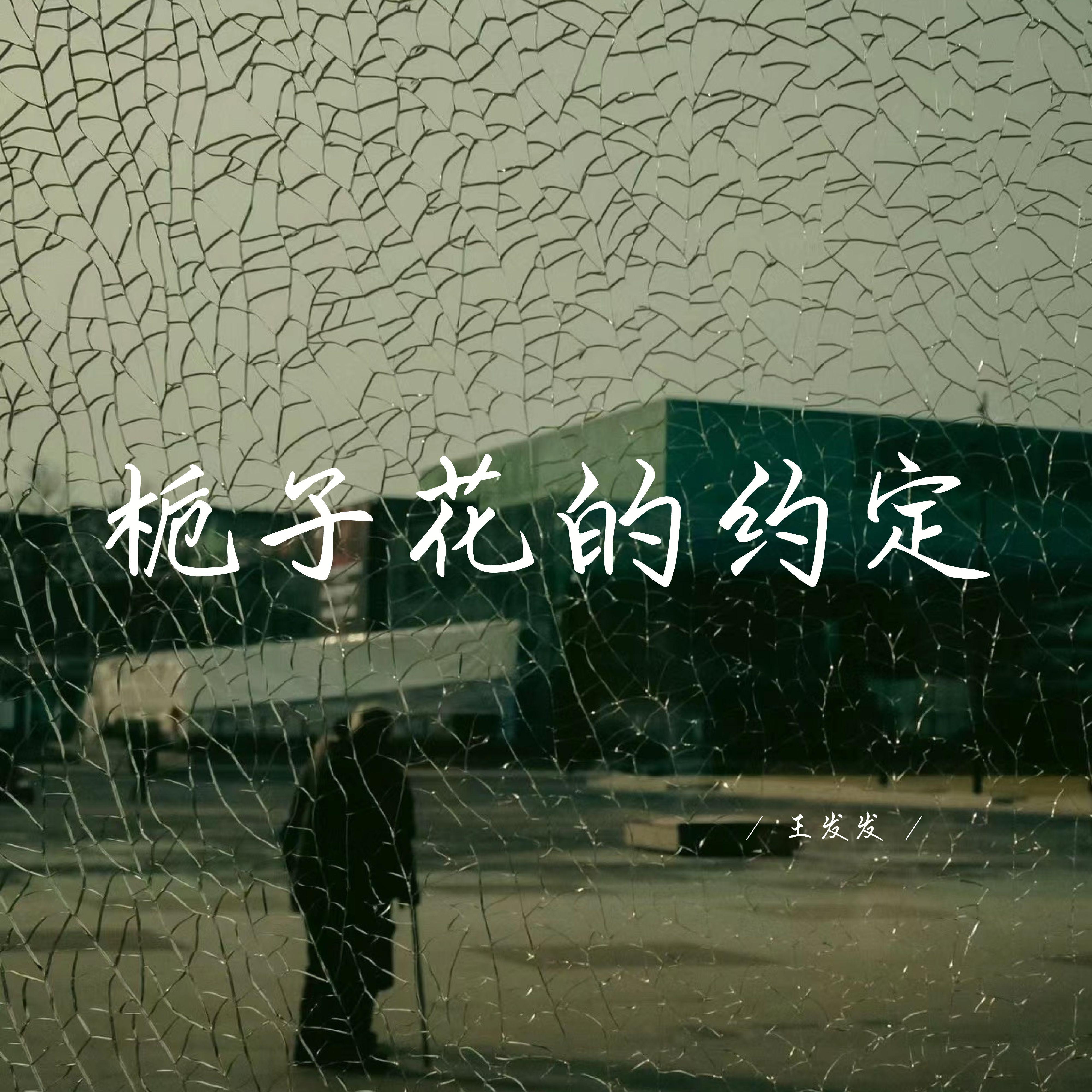 栀子花的约定 - 王发发封面