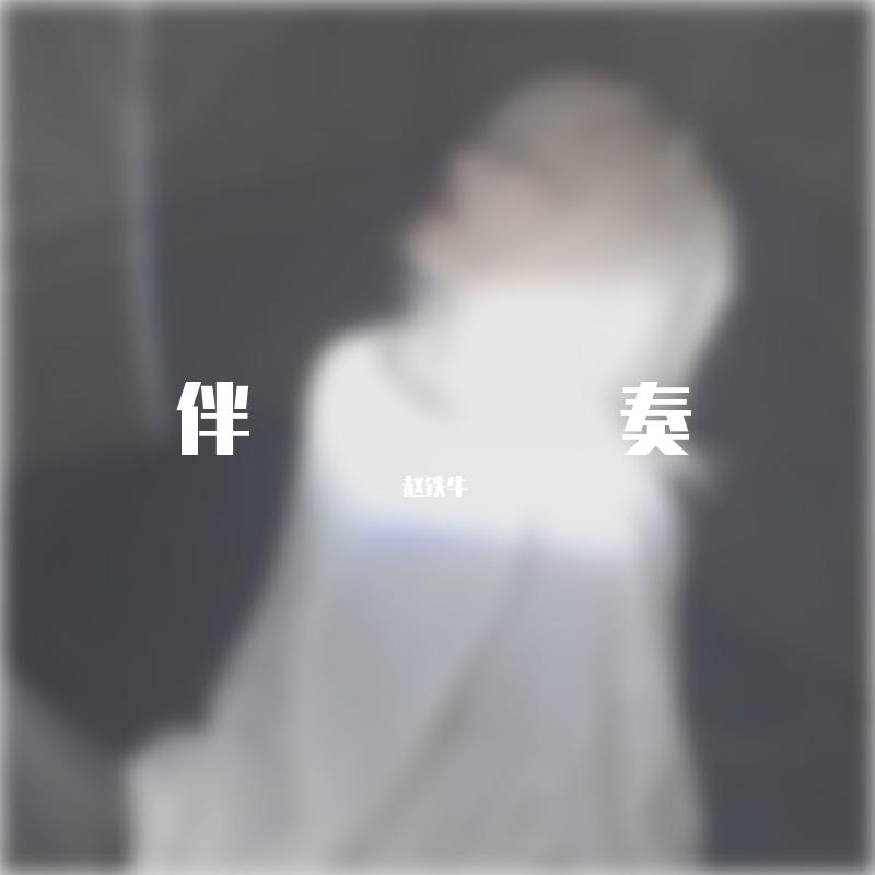 花花公子 伴奏封面