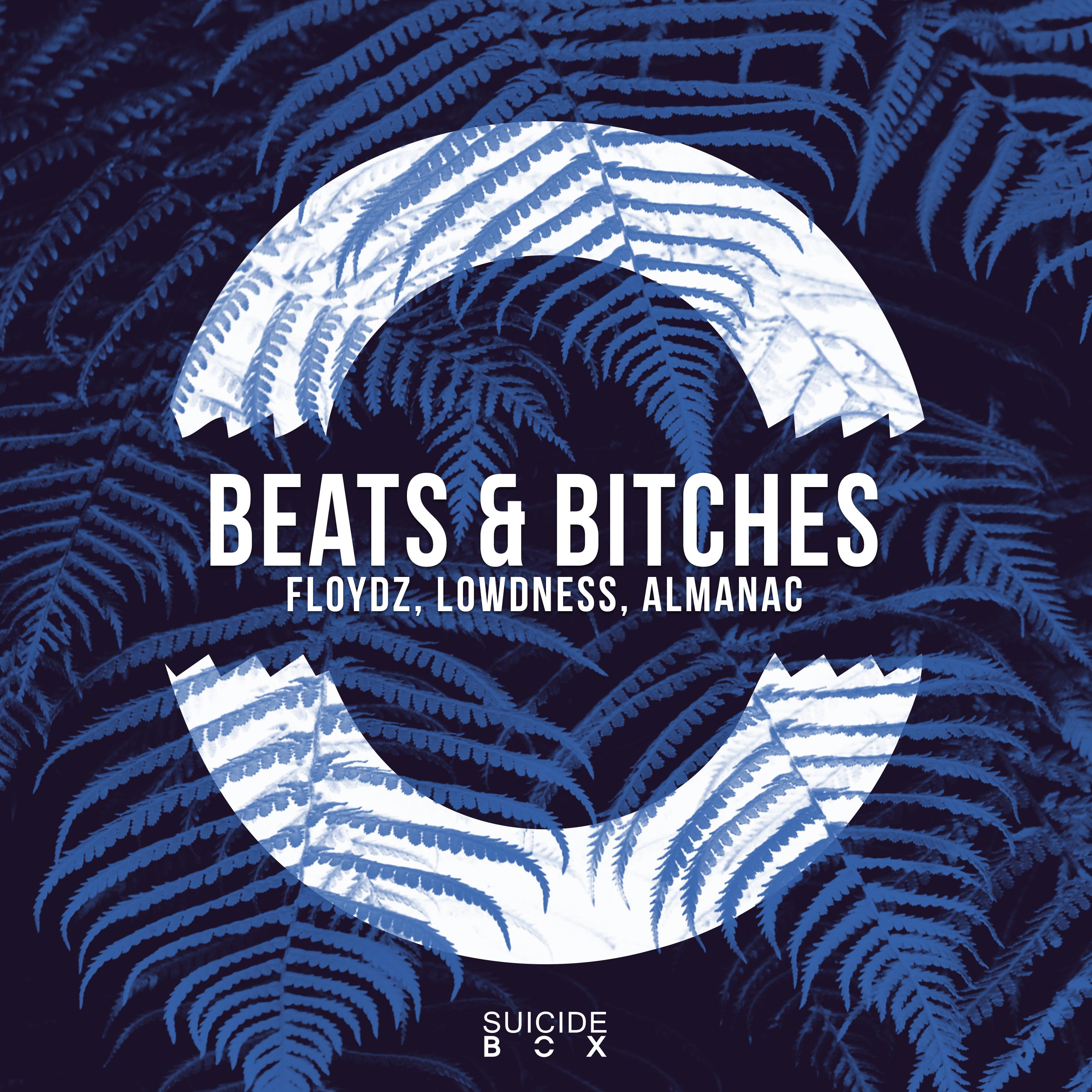 Beats & *****es (Extended Mix)
