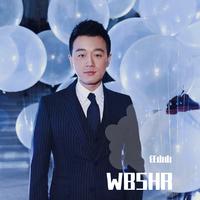 WBSHR