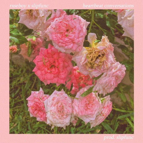 heartbeat conversations (prod. slipfunc)_Rxseboy_heartbeat conversations (prod. slipfunc) | 在线播放_heartbeat conversations (prod. slipfunc)歌词_heartbeat conversations (prod. slipfunc)下载 | 网易云音乐