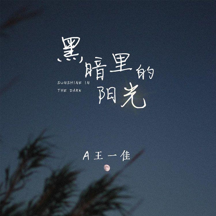 黑暗里的阳光封面