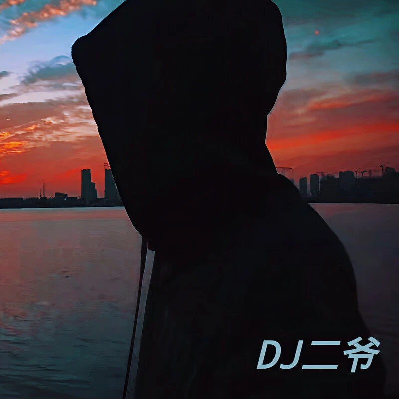 言不由衷 (DJ版)封面