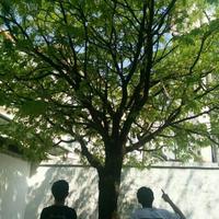 安途资料,安途最新歌曲,安途MV视频,安途音乐专辑,安途好听的歌