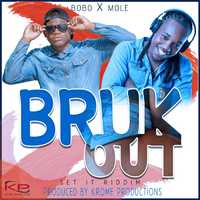 Bruk Out