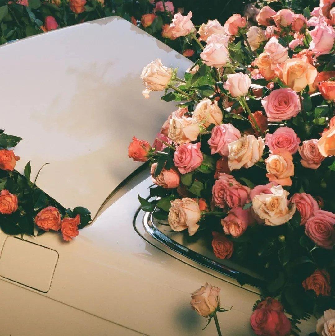 要不要买香菜_kccF