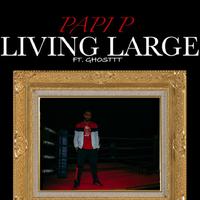 Papi P资料,Papi P最新歌曲,Papi PMV视频,Papi P音乐专辑,Papi P好听的歌