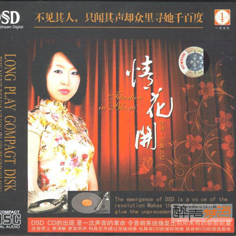 梨花满天开封面