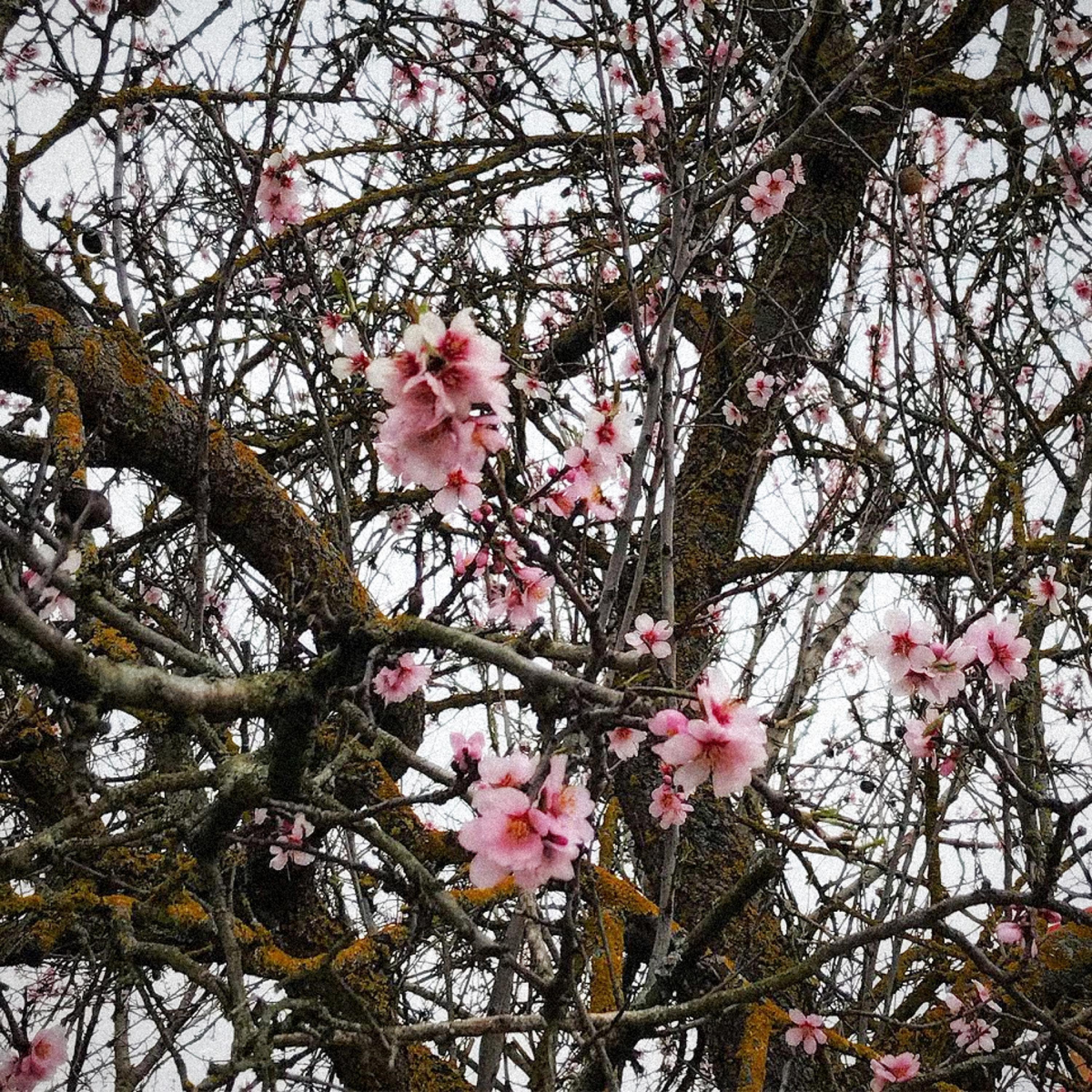 It Doesn't Make Any Sense