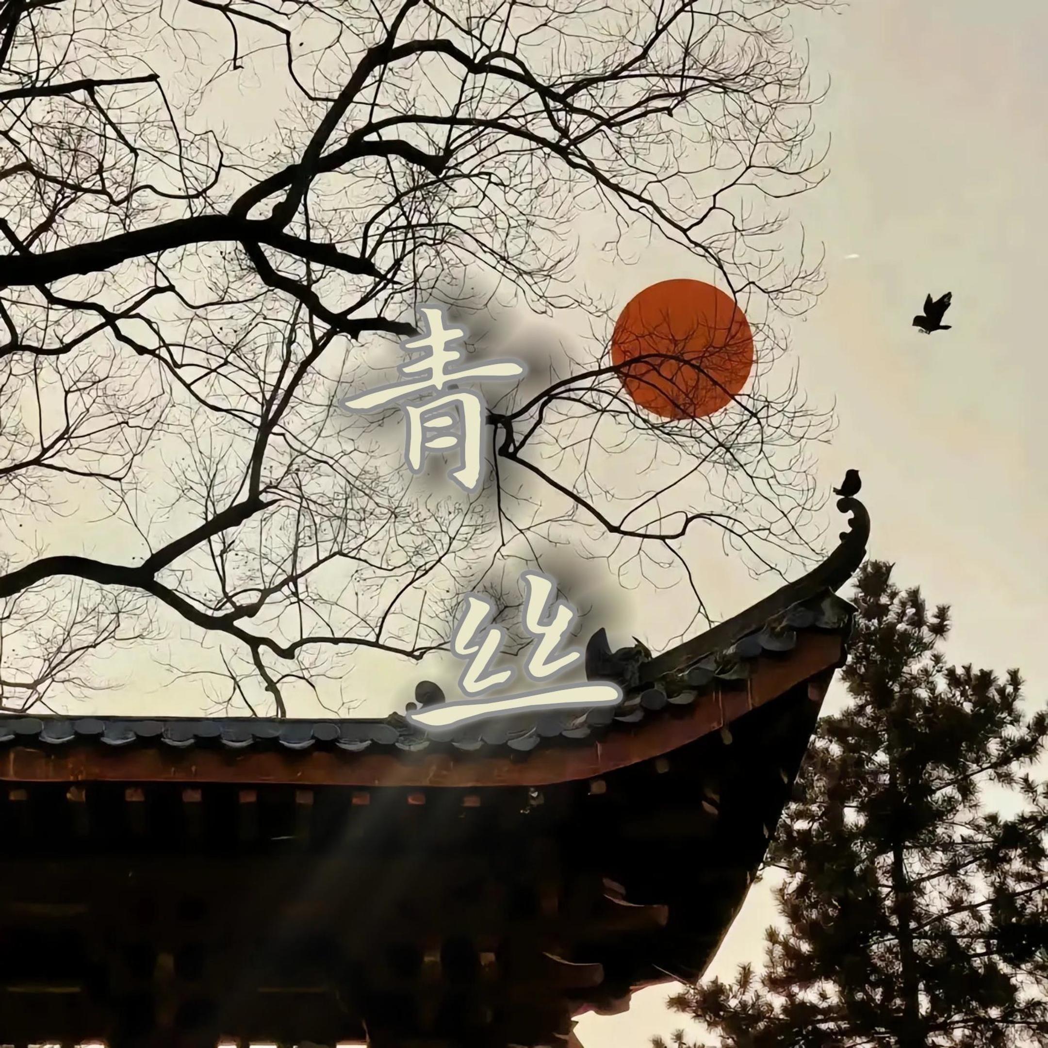 青丝DJ版（抖音热播）封面