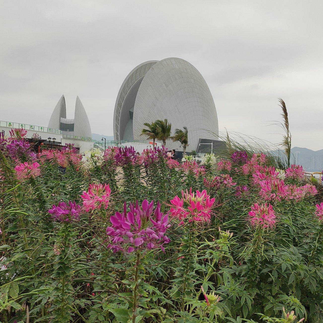 敢不敢名字不一样