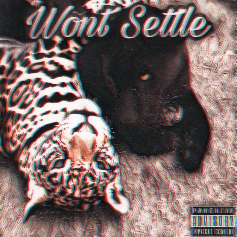 Wont Settle(feat.PJ)