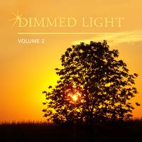 Dimmed Light, Vol. 2