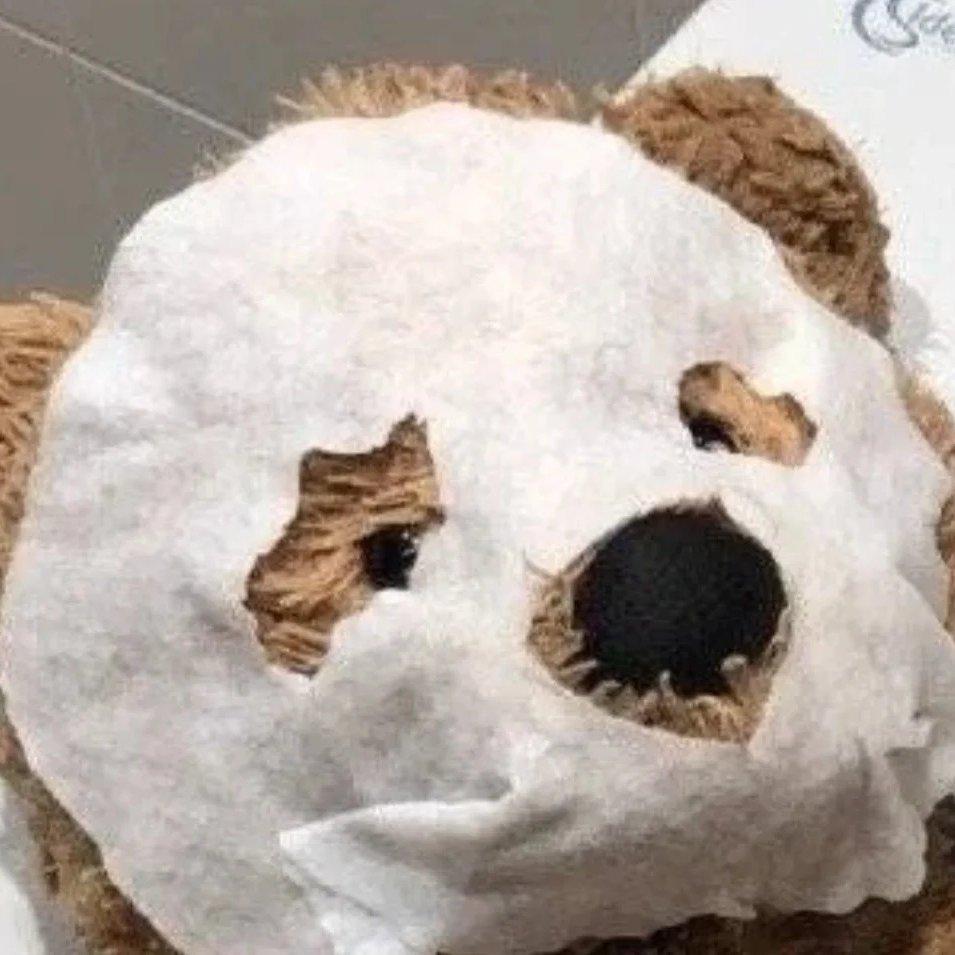 今天鼓捣白了么