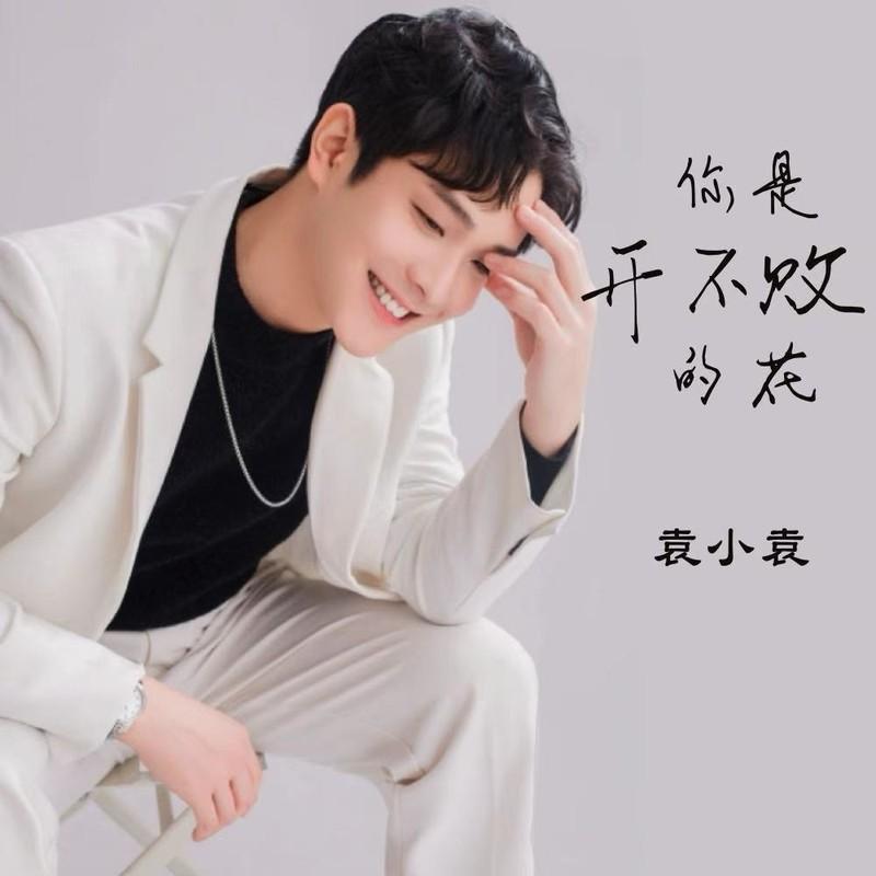 你是开不败的花 (伴奏)封面