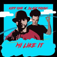 Mi Like It (feat. Blaiz Fayah)