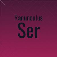 Ranunculus Ser