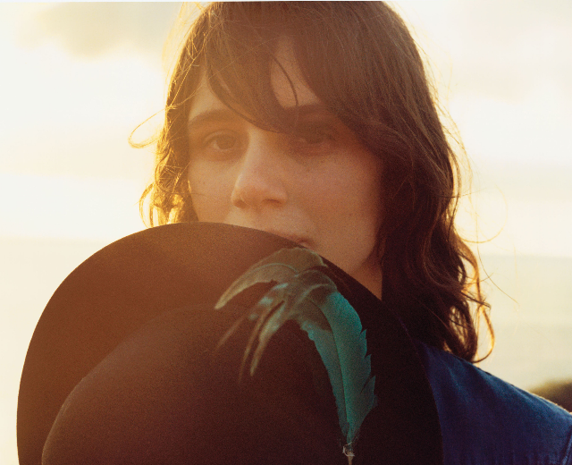 Metallic Falcons