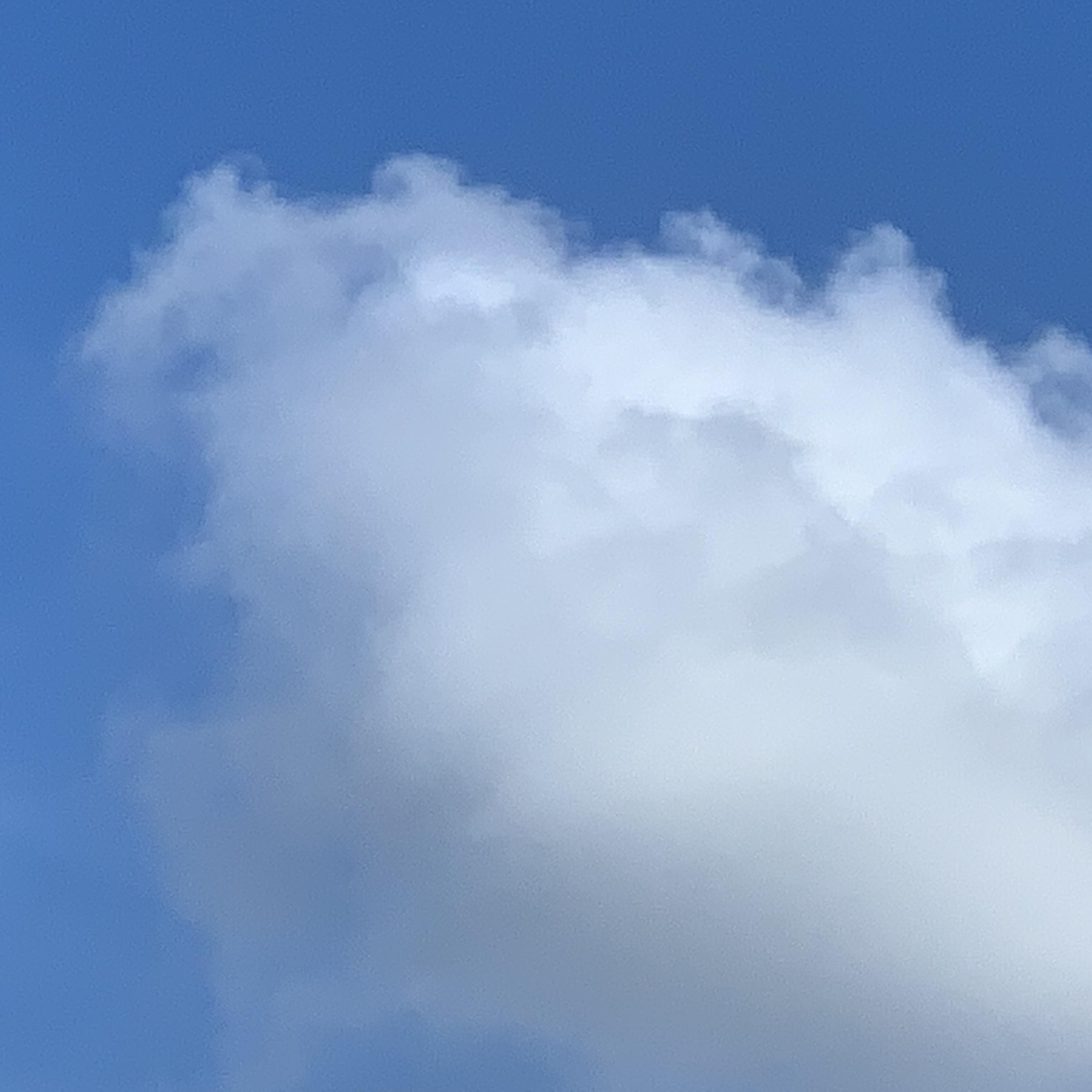 与你 Share It with U