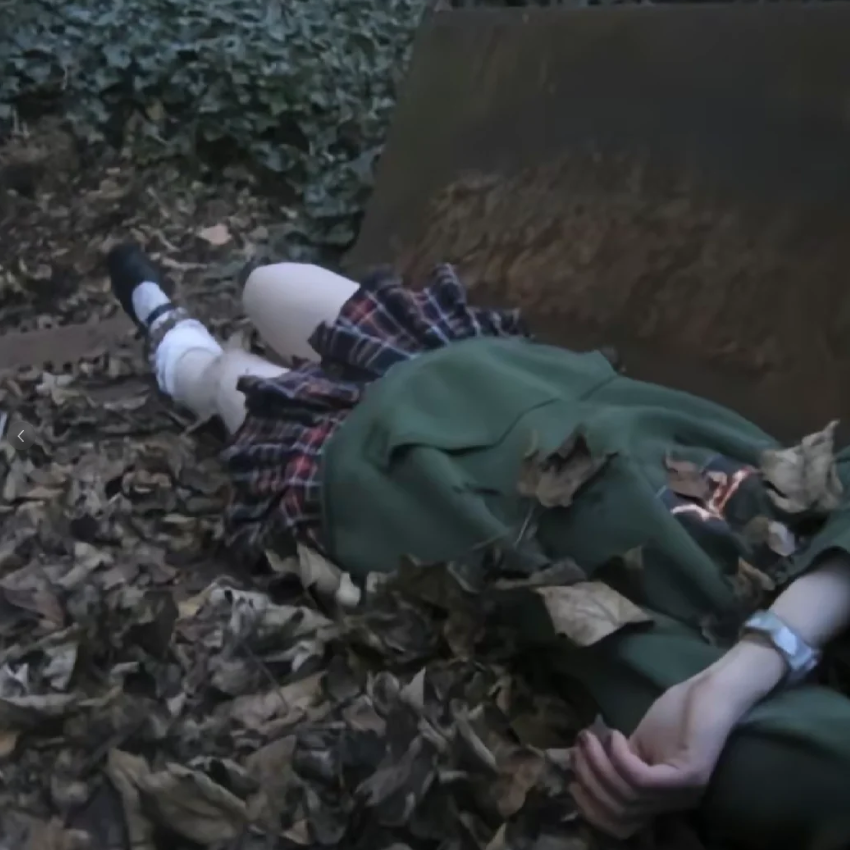 *落葉中找尋你的身影* lil waifu x lil diva x anime type beat