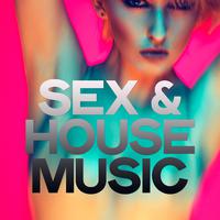 Sex & House Music (Selection House Music)