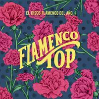 Flamenco Top