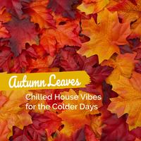 Autumn Leaves: Chilled House Vibes for the Colder Days