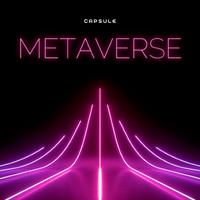 METAVERSE