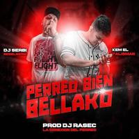 Perreo bien bellako (feat. Dj Serbi & Dj Rasec)