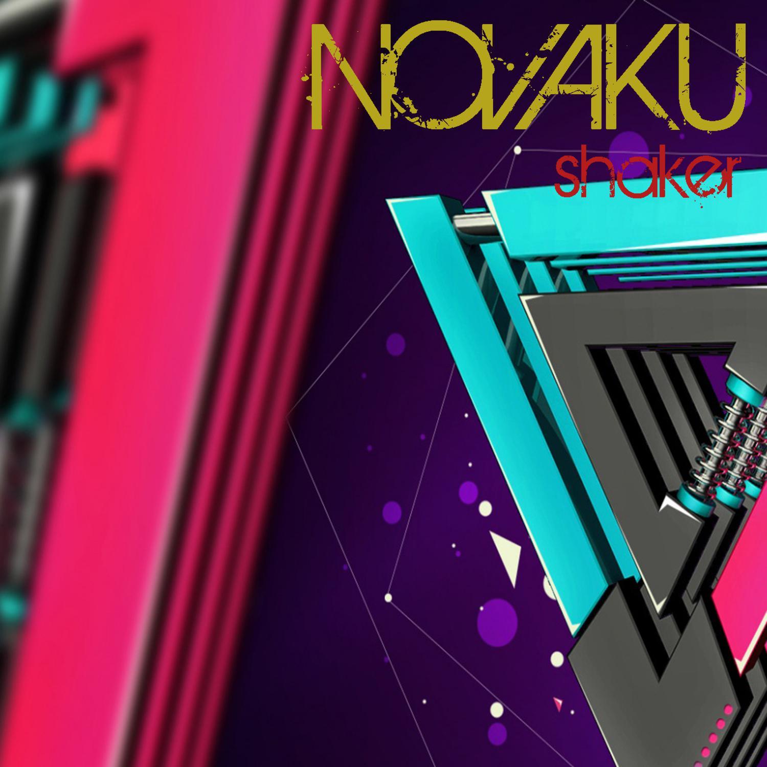 Shaker (Original Mix)