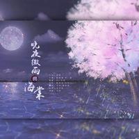 晚夜微雨问海棠