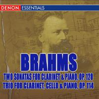 Brahms: Two Sonatas for Clarinet and Piano, Op. 120 and Trio for Clarinet, Cello, and Piano, Op. 114