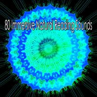 80 Immersive Natural Reading Sounds