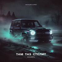 Там таз стелит (Instrumental)